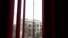 The queen of Satan: Sexy Desire