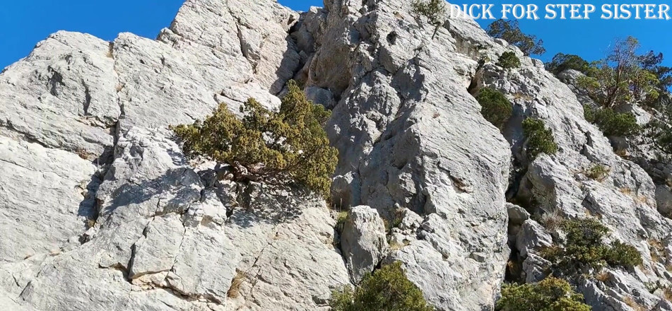 DickForStepSister: Fuck me please while no one sees, sex in nature...