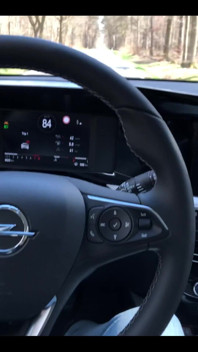 Horny Im Auto