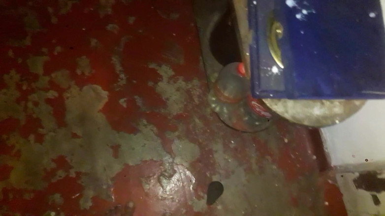 Tina Baby: Penawaran Penggunaan Gratis Ibu Tiri