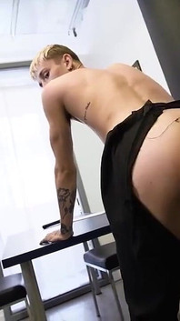 海关人员shana lane和tony d'angelo必须找到另一种方法来娱乐自己