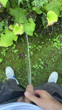 Golden Stream: Peeing in Paradise