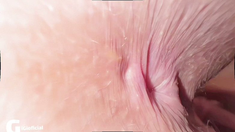 Gigi oficial: What Would Happen if We Filmed a Virgin Pussy in...