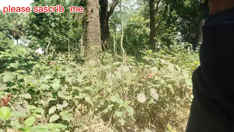 DesiDarkArt: Desi Bangali Boy in Forest Fuk Tree