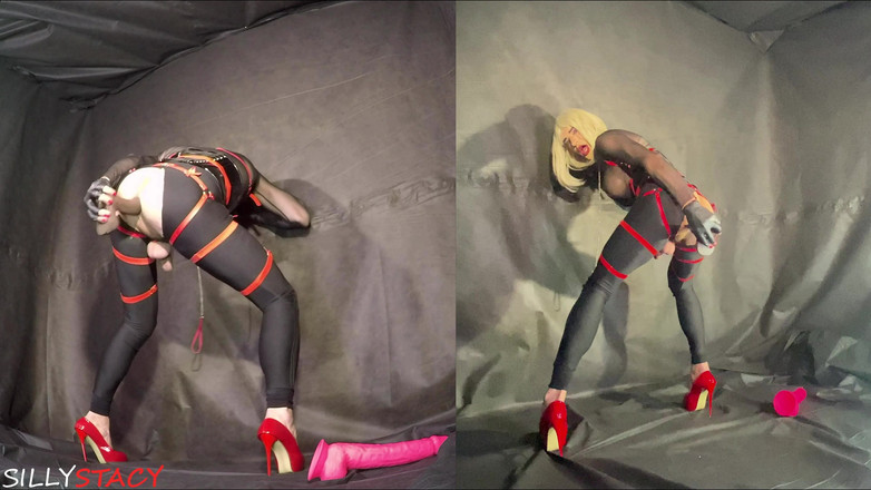 sillystacy: Kereta Banci