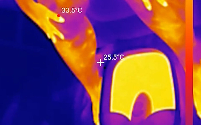 largebootylexi: Feet Soles Get Ground, Buffed and Lubed Until They’re Glossy-fuckable...