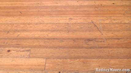 Horny Hairy Girls: Pretty horny hairy girls suck hairy pussy