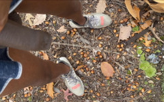 MerlinMystique: Sikanie i Bate w lesie