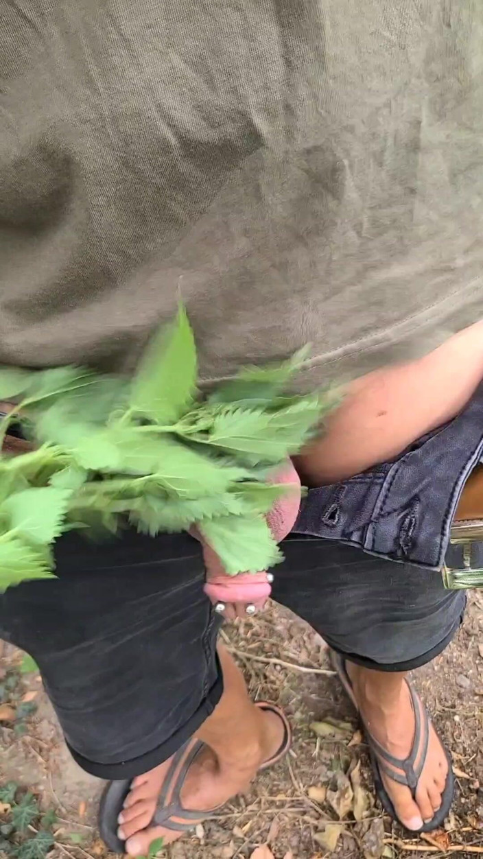 Terpene: Nässla utomhus