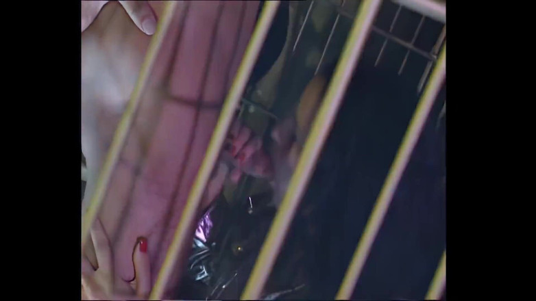 Cinema X: Venere Bianca Fucked in Cage