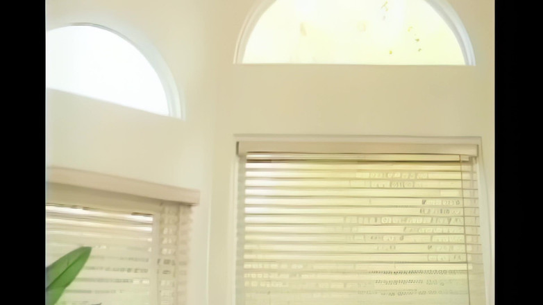 The Lesbians Megastore: Lezbiyenler dildolarla uğraşır