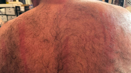 Aaexperiencesltd: 학생 여주인 Izar와 채찍질하는 Lanista Bear 레슨