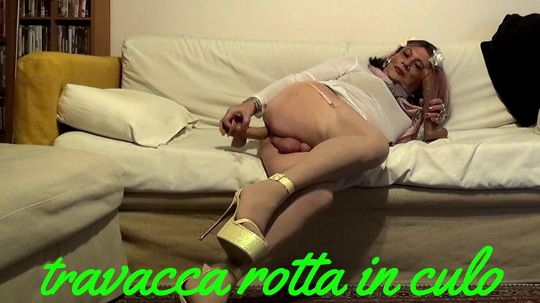gio calda: Gio Calda Toate Florile