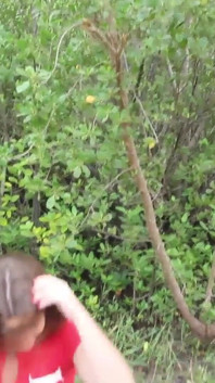 Real Life Lifeguard Sucking Dick