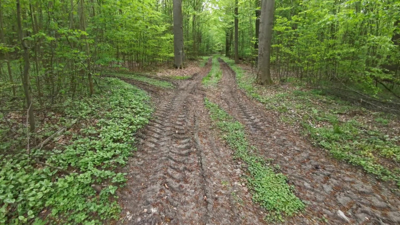 Bouncy Tits Action: Göğüslerini tokatladıktan sonra vajinanı cezalandırmama izin ver