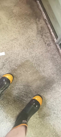Pissing on Steel Toe Black Rubber Wellies