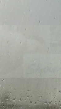 Blowjob During a Rainstorm