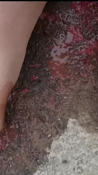 湿漉漉的连裤袜
