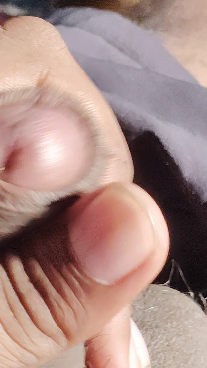 Xxxboyengi: Deshi cậu bé thủ dâm