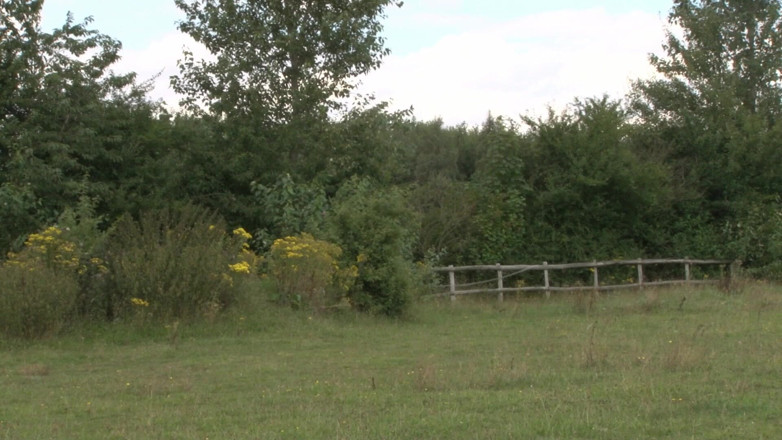 Rock Charogne: Carmel Anderson on the Cuntry Farm