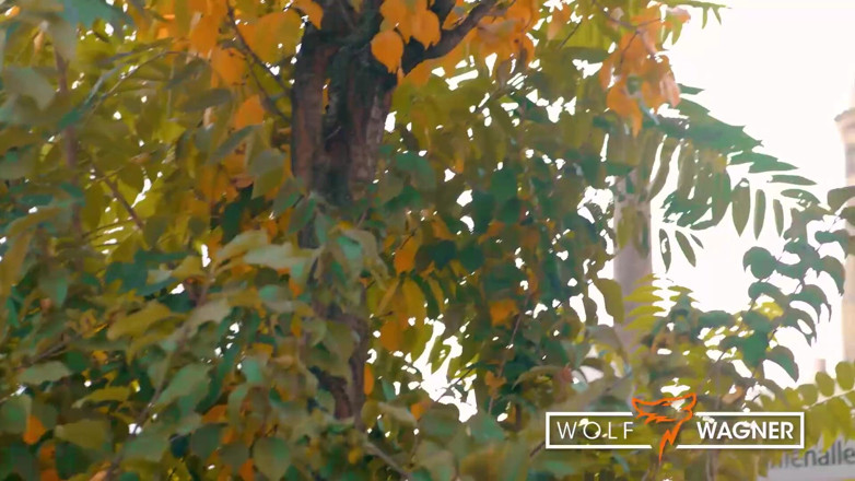 Wolf Wagner.love: ดูดควยที่ริมแม่น้ำ แล้วเย็ดในโรงแรมของสาวเยอรมัน Lena Nitro