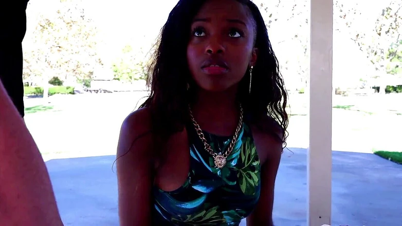 Old PIGS XXX: Une jeune nana noire magnifique se fait draguer par un...