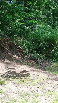 Sokaktan yaşlı seksi otostopçu fahişe ormanda prezervatifsiz sikiliyor