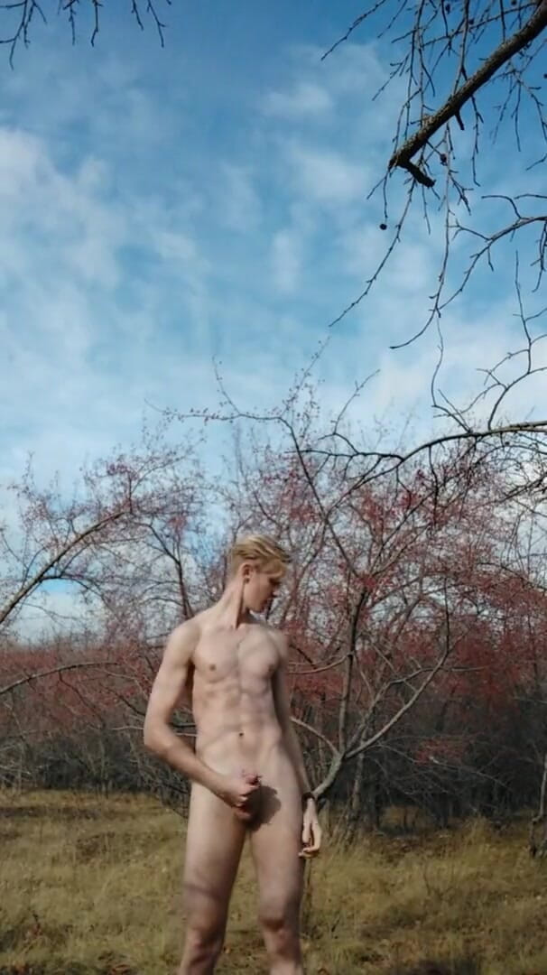 Dick Boys Studio: Chico atrapado masturbándose en el parque
