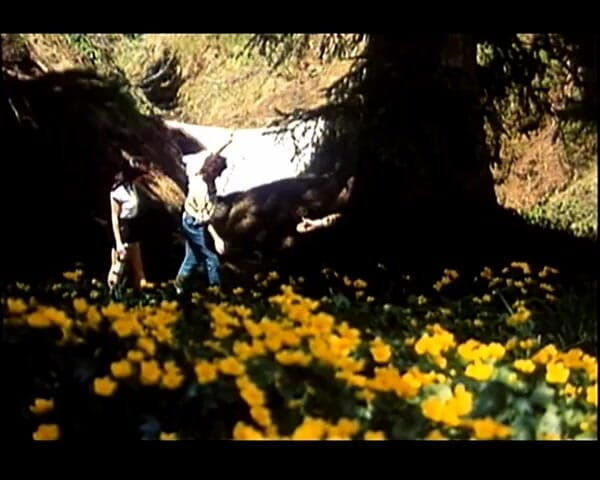 GERMAN PORN CLASSICS: Heissbluetiges Verlangen - Herzog Wideo