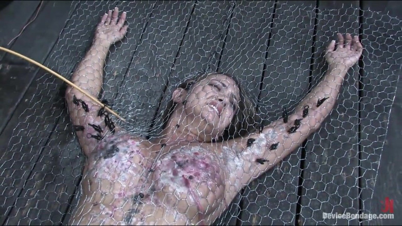 Device Bondage by Kink: Înăuntru