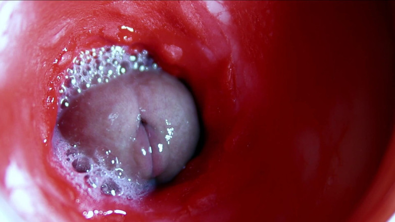 SEXY_GUYBEST: Enormi flussi di sperma molto vicini in un buco dolce...