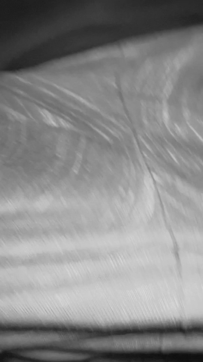 Iiwiii11BBC4trans: 자지를 따먹는 숲속