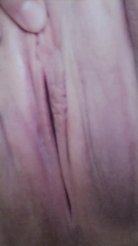 Do You Like My Pussy?
