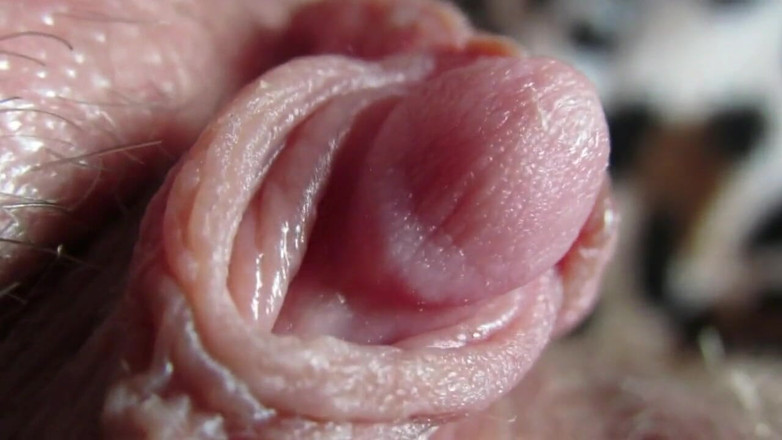 Cuteblonde666: Gran clítoris, compilación 2