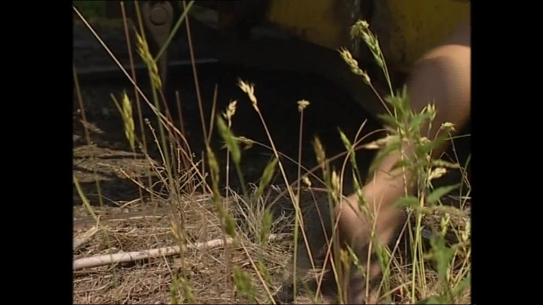 Muschi movie official: Doble mamada con final en corrida facial