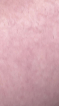 Petite Brunette Beauty Kate Rose Gets Her Pantyhosed Pussy Creampied