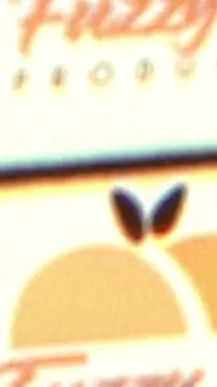 Venus Vixen Stars in Fort Lauderdale Lust