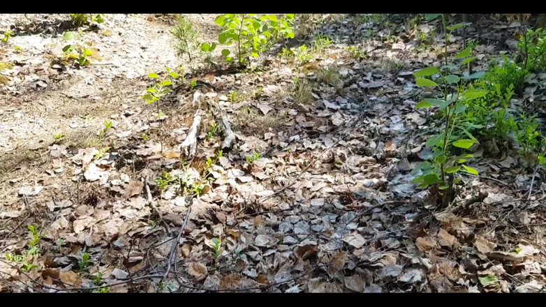 Awesome A: Coli di dekat Danau. Aku sangat terangsang!