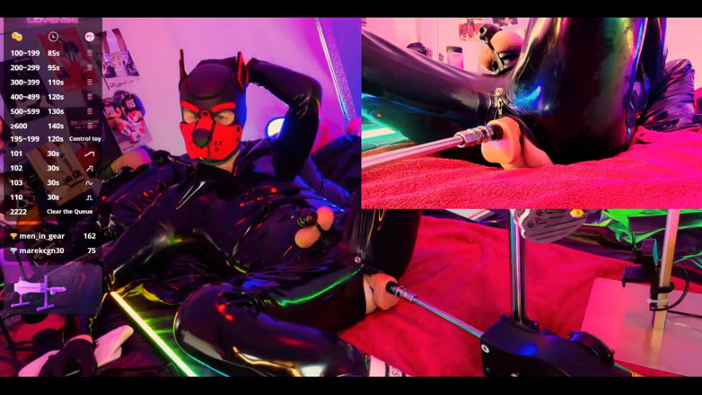 Roman Heart: Doggy Rubber Show
