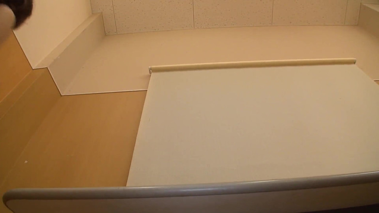 MADE IN JAPAN - ORRANGE MEDIA: Fucking a Hairy Teen Pussy in Tokyo Uncensored # 7 - Part 2