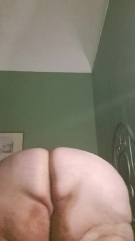 Perra obesa está aquí