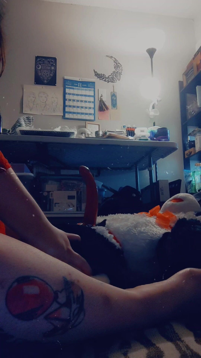 Domina Succubus: Fodendo meu panda stuffie (cinta-caralho)