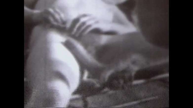 The Unforgettable: Волохаті кицьки минулих років