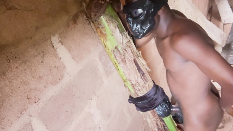 Bangcum8: Aku suka banget dicrot sperma