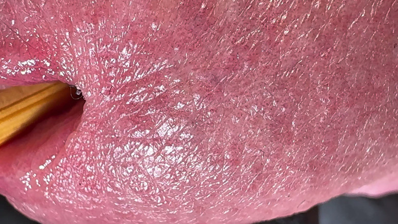 Leonardo-1974: Eichel und mein loch machen mich glücklich