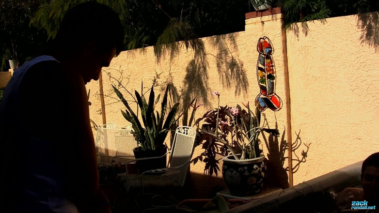 Zack Randall: Cock Sucking Buddies Unload