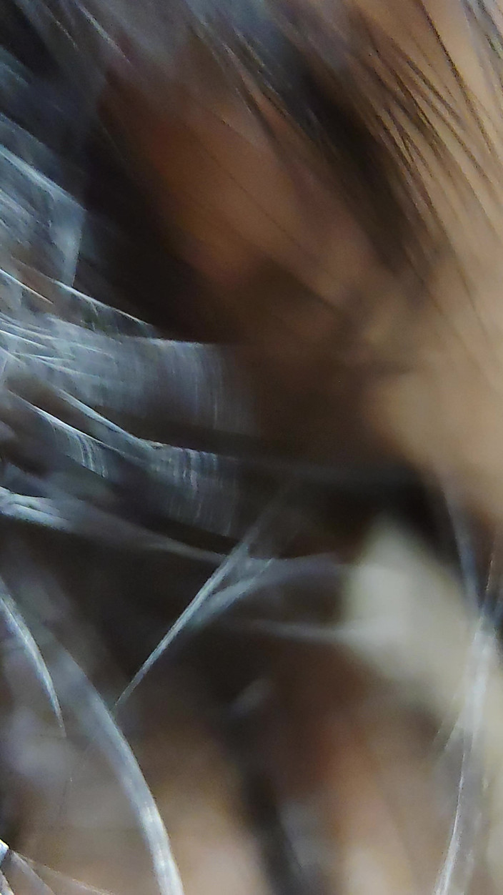 Cute queen: Hoy el amigo de mi esposo vino a follarme