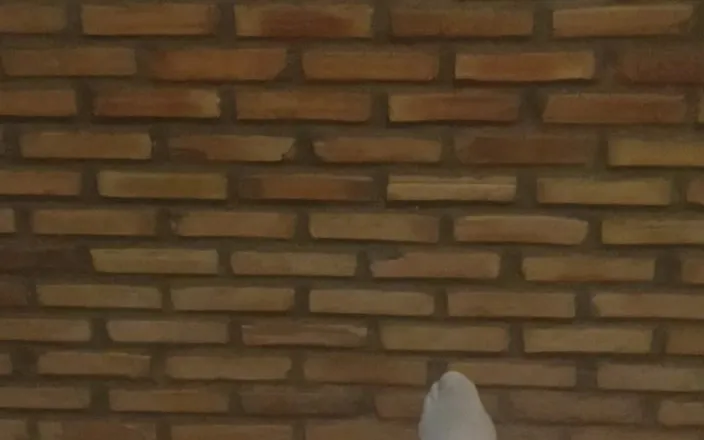 Oakwinston: Never Knew That I'm Camera Shy