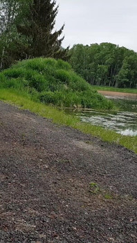 La giornata degli uomini in modo diverso: una passeggiata speciale