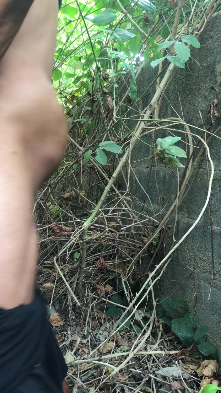 Sexylary: Зведений брат і зведений брат займаються сексом на відкритому повітрі